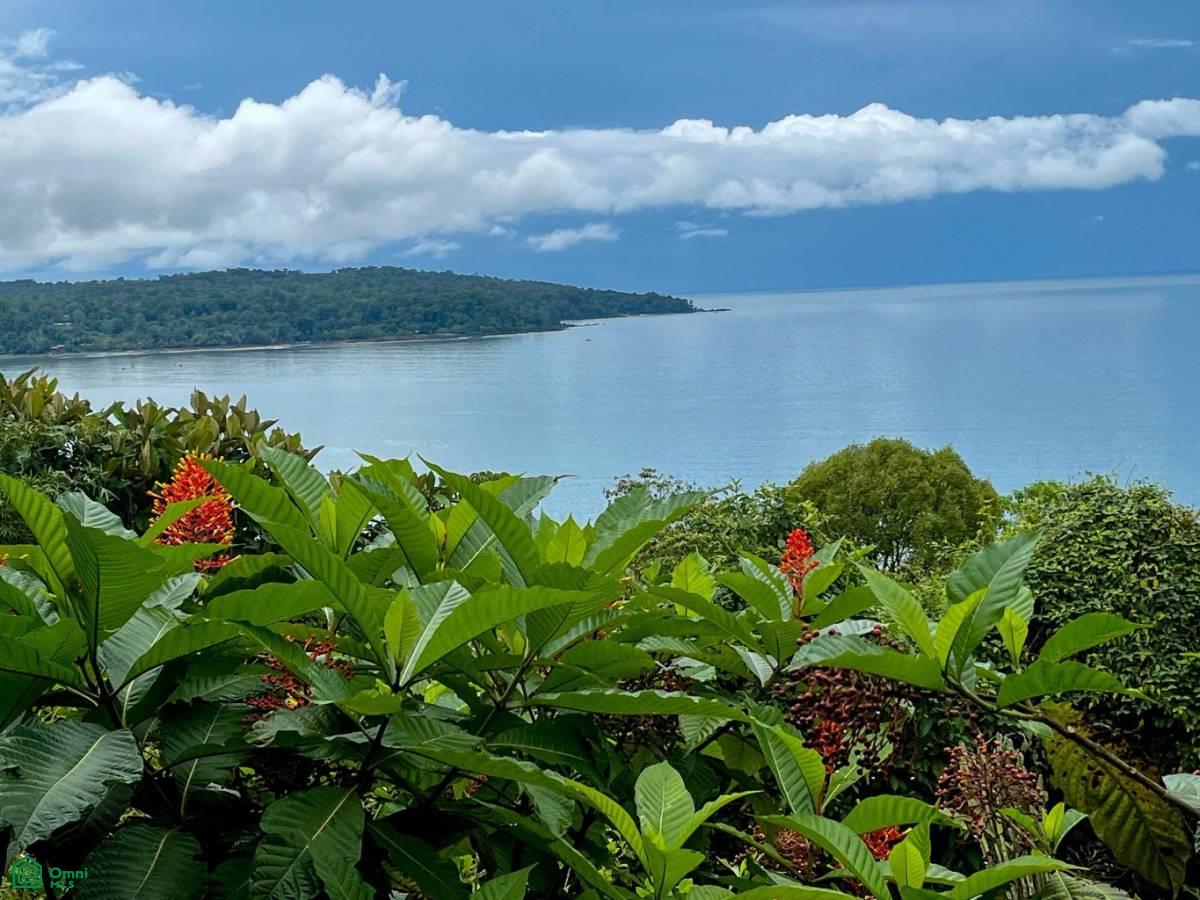 Private Ocean View Lot , Bahía Drake, Osa, Puntarenas