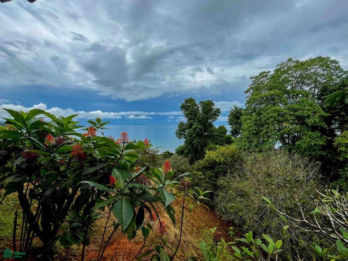 Private Ocean View Lot , Bahía Drake, Osa, Puntarenas