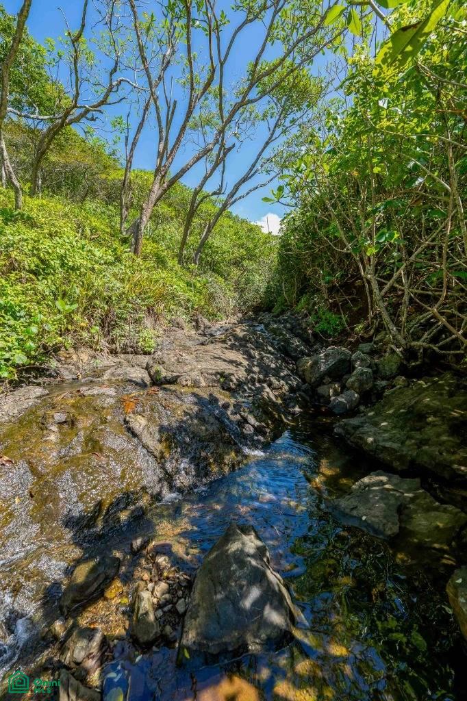 Rare Titled Oceanfront Development Land , Bejuco, Nandayure, Guanacaste