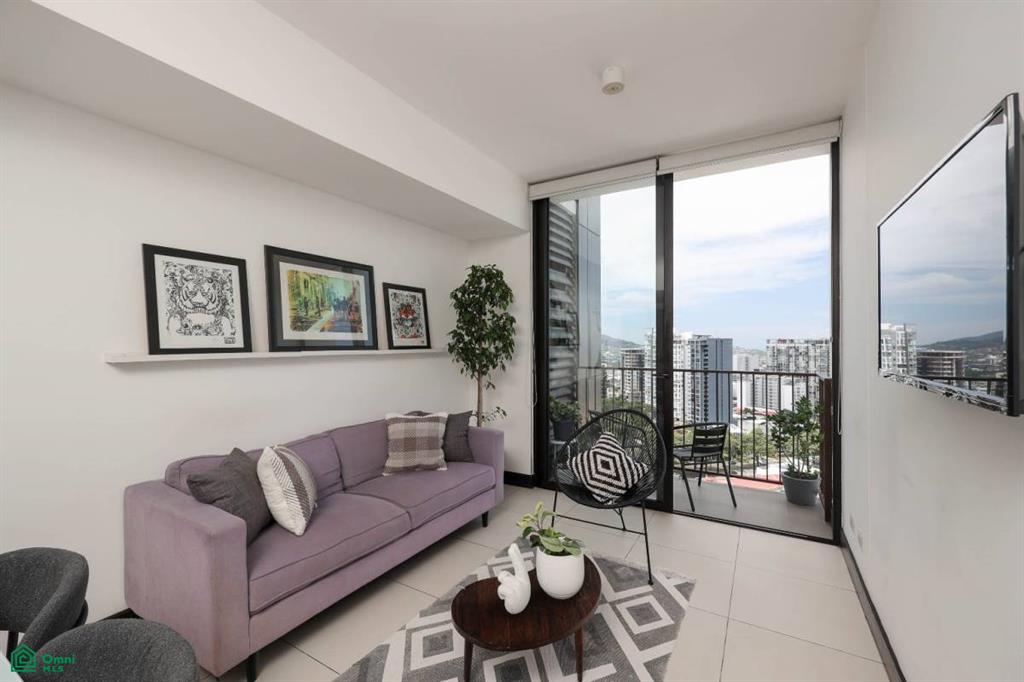 High Rise City Haven