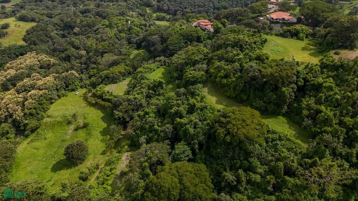 Atenas Prime Development Land