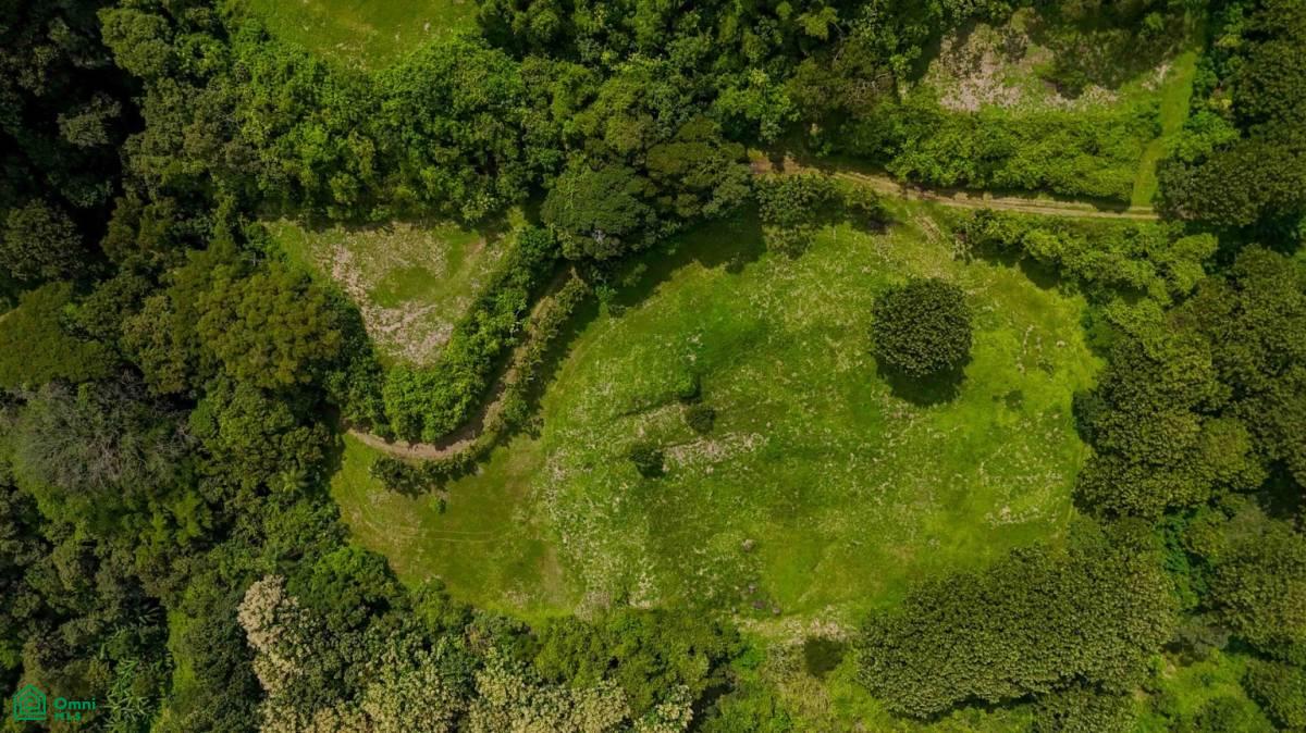 Atenas Prime Development Land