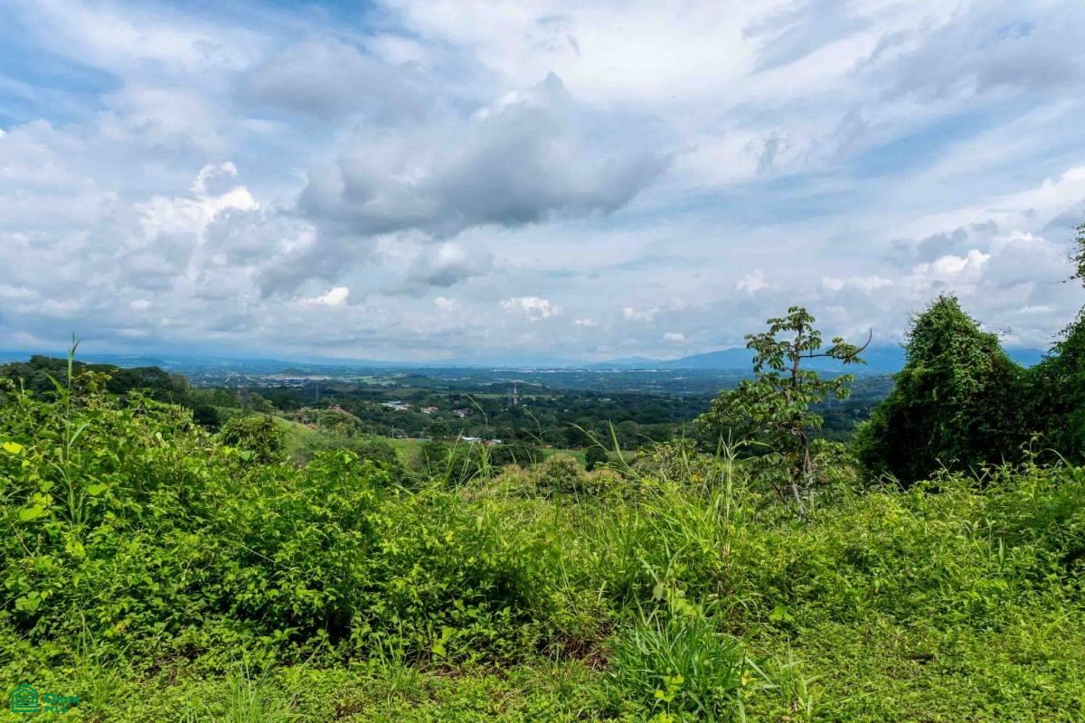 Atenas Prime Development Land