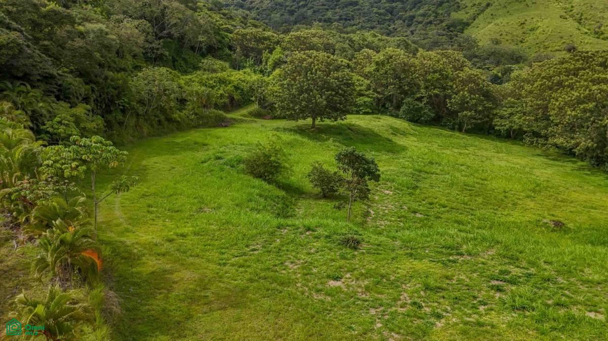 Atenas Prime Development Land