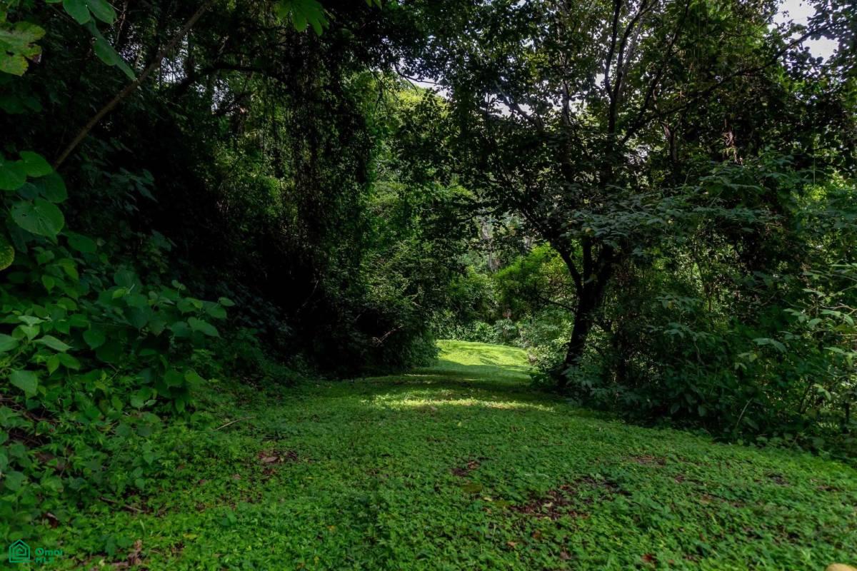 Atenas Prime Development Land