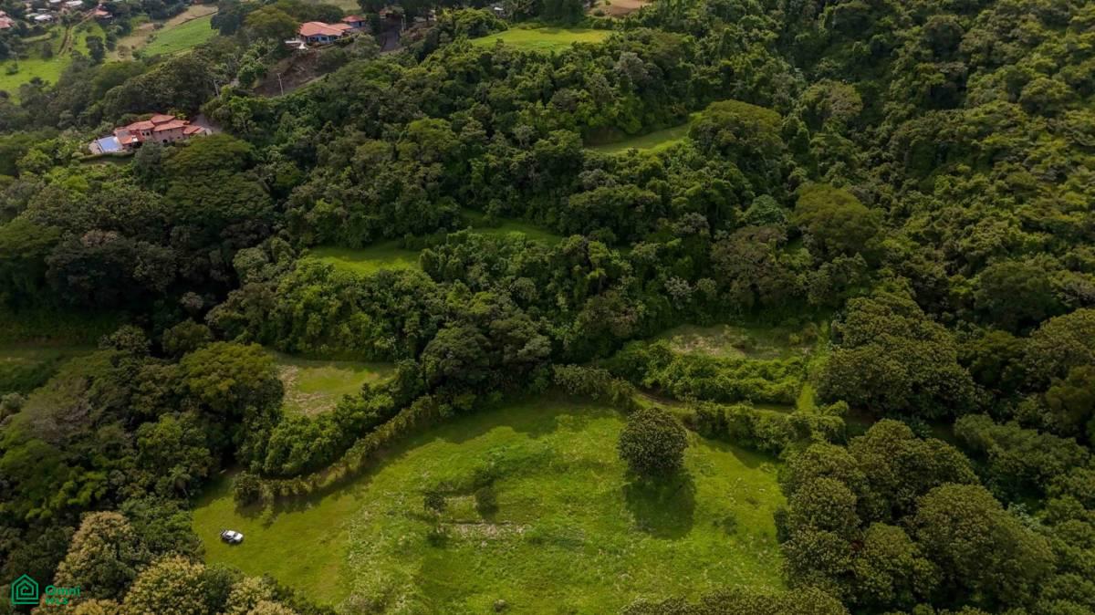 Atenas Prime Development Land