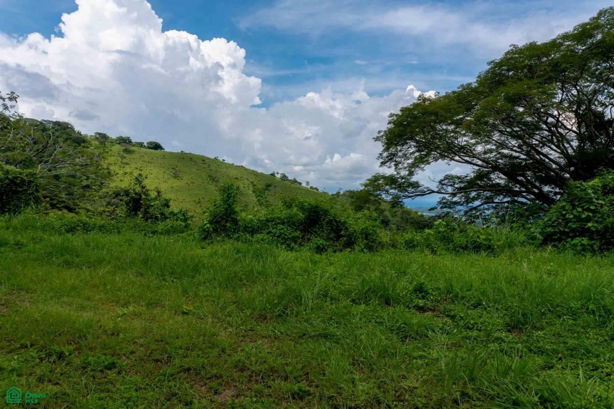 Atenas Prime Development Land