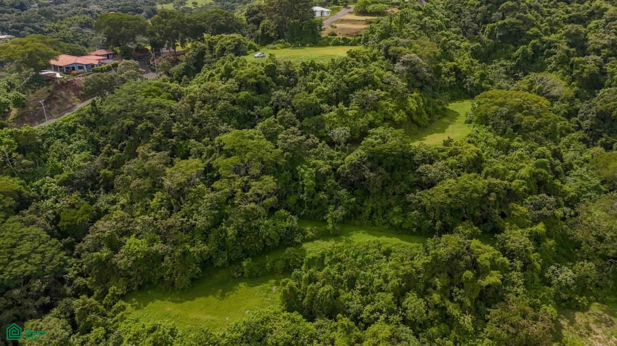 Atenas Prime Development Land