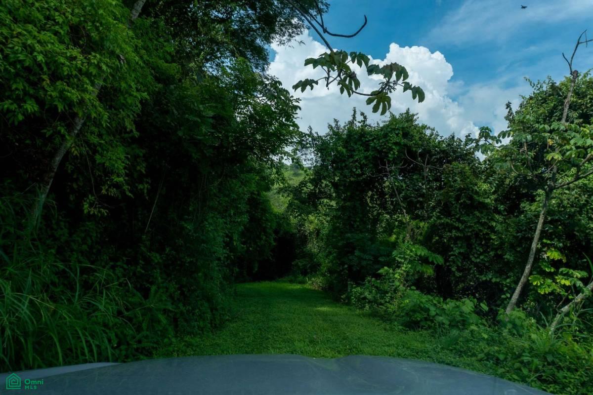 Atenas Prime Development Land