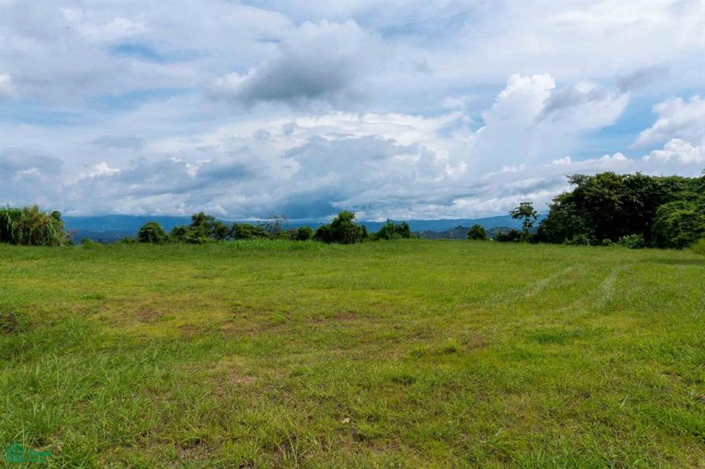 Atenas Prime Development Land