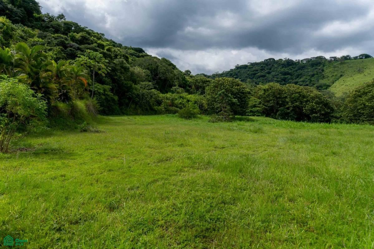 Atenas Prime Development Land