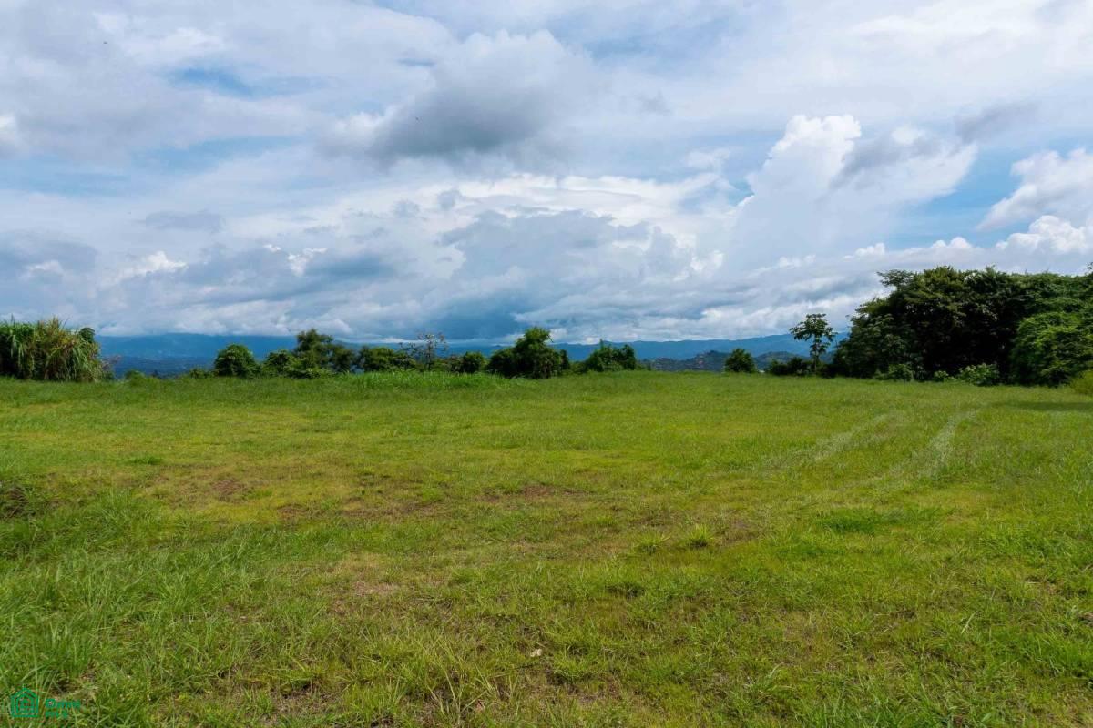 Atenas Prime Development Land