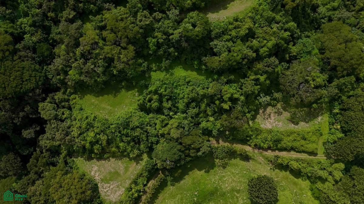 Atenas Prime Development Land