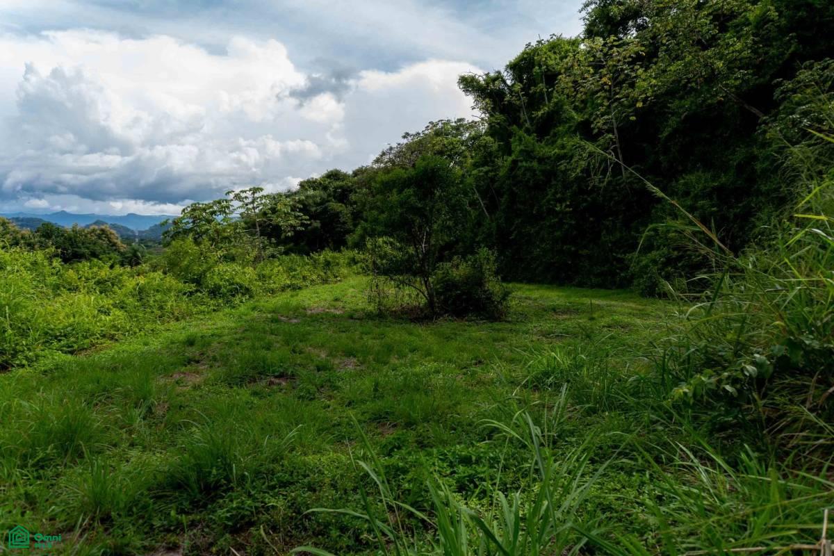 Atenas Prime Development Land