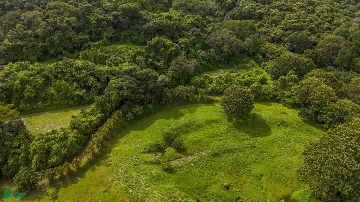 Atenas Prime Development Land