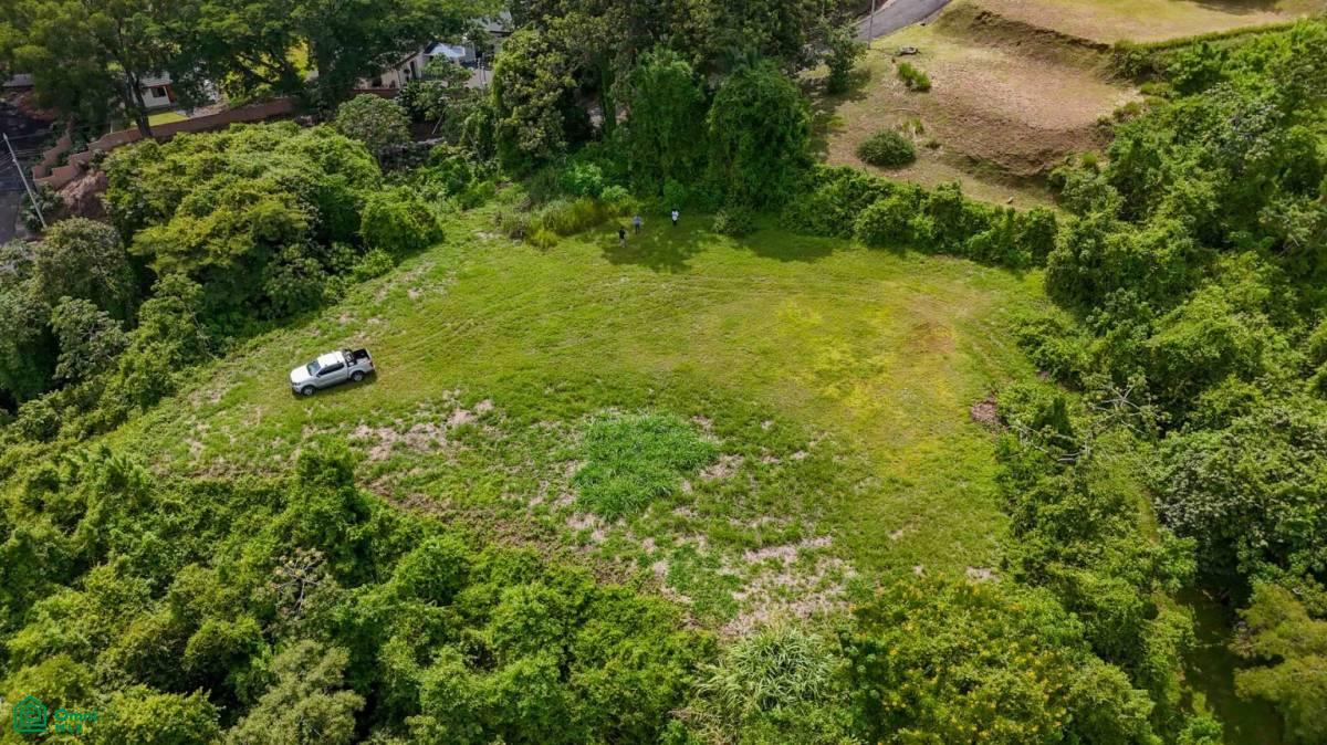 Atenas Prime Development Land