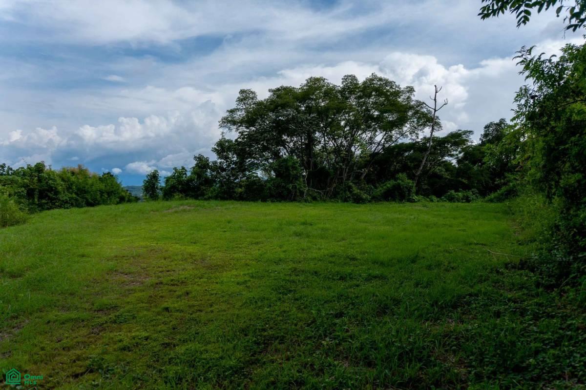 Atenas Prime Development Land