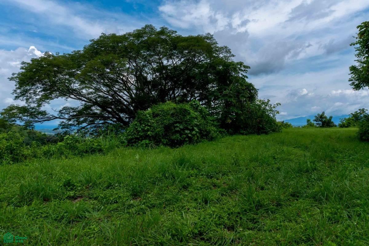 Atenas Prime Development Land