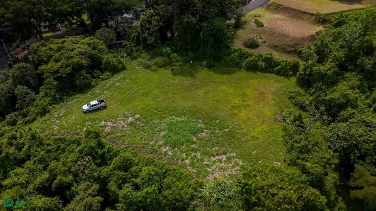 Atenas Prime Development Land