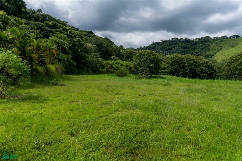 Atenas Prime Development Land