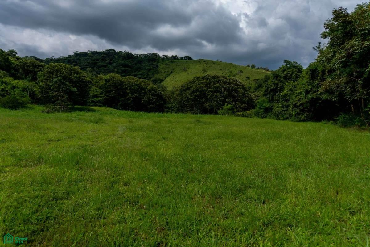 Atenas Prime Development Land