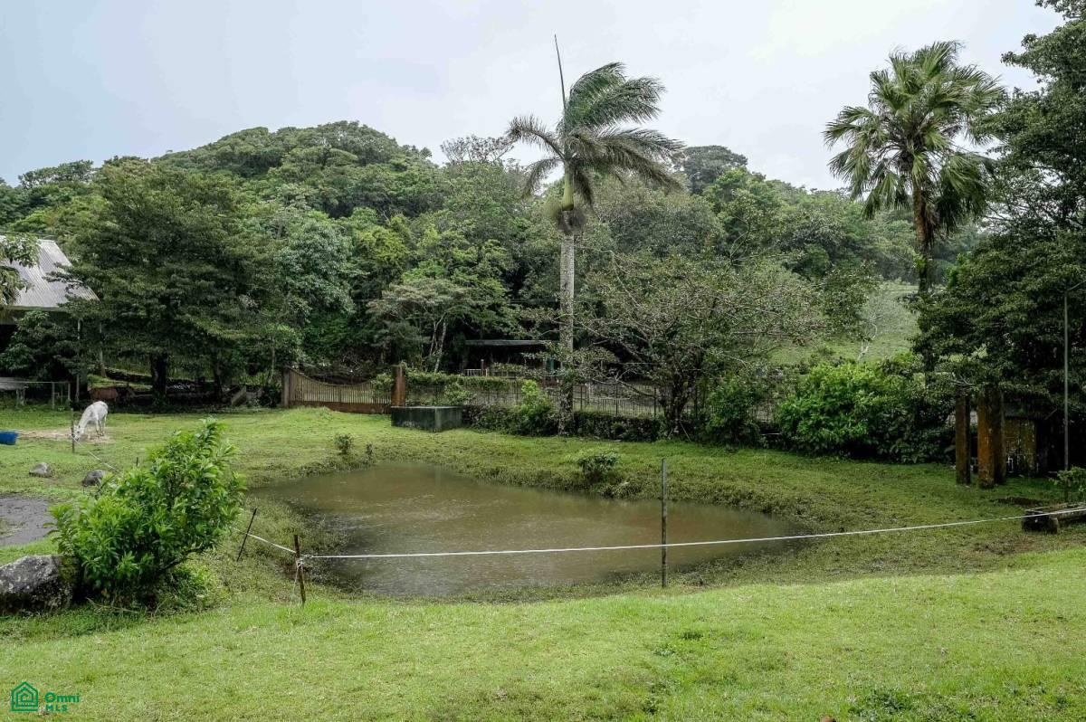 Main Road Commercial Property , Tilarán, Guanacaste