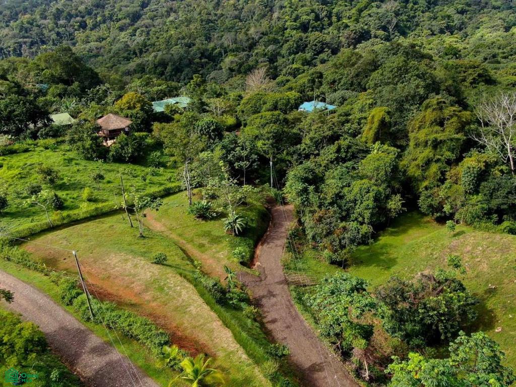 Residential Lot in Coveted Location , Bahía Ballena, Osa, Puntarenas