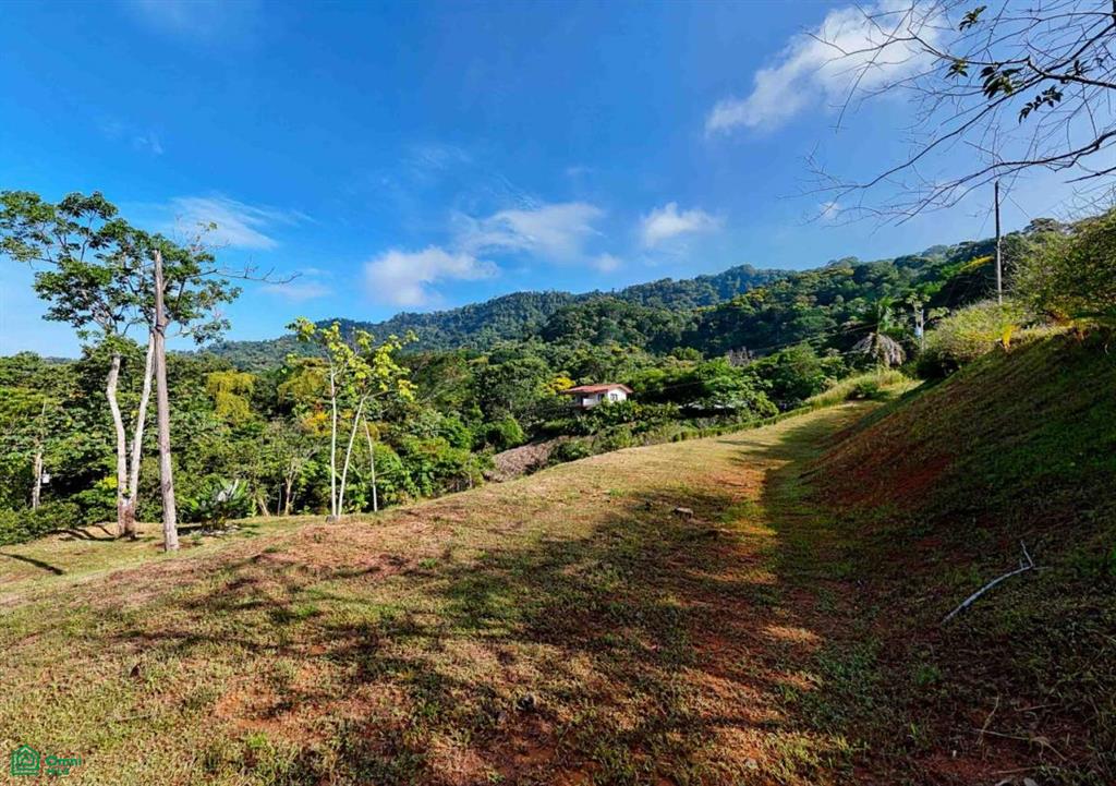 Residential Lot in Coveted Location , Bahía Ballena, Osa, Puntarenas