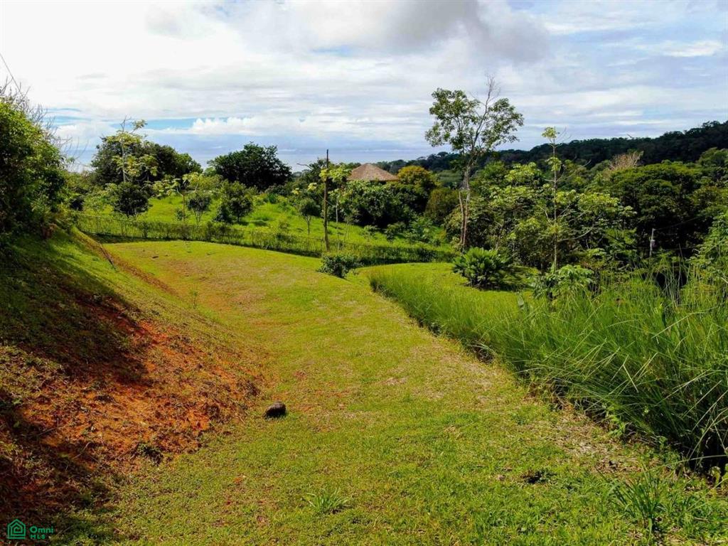 Residential Lot in Coveted Location , Bahía Ballena, Osa, Puntarenas
