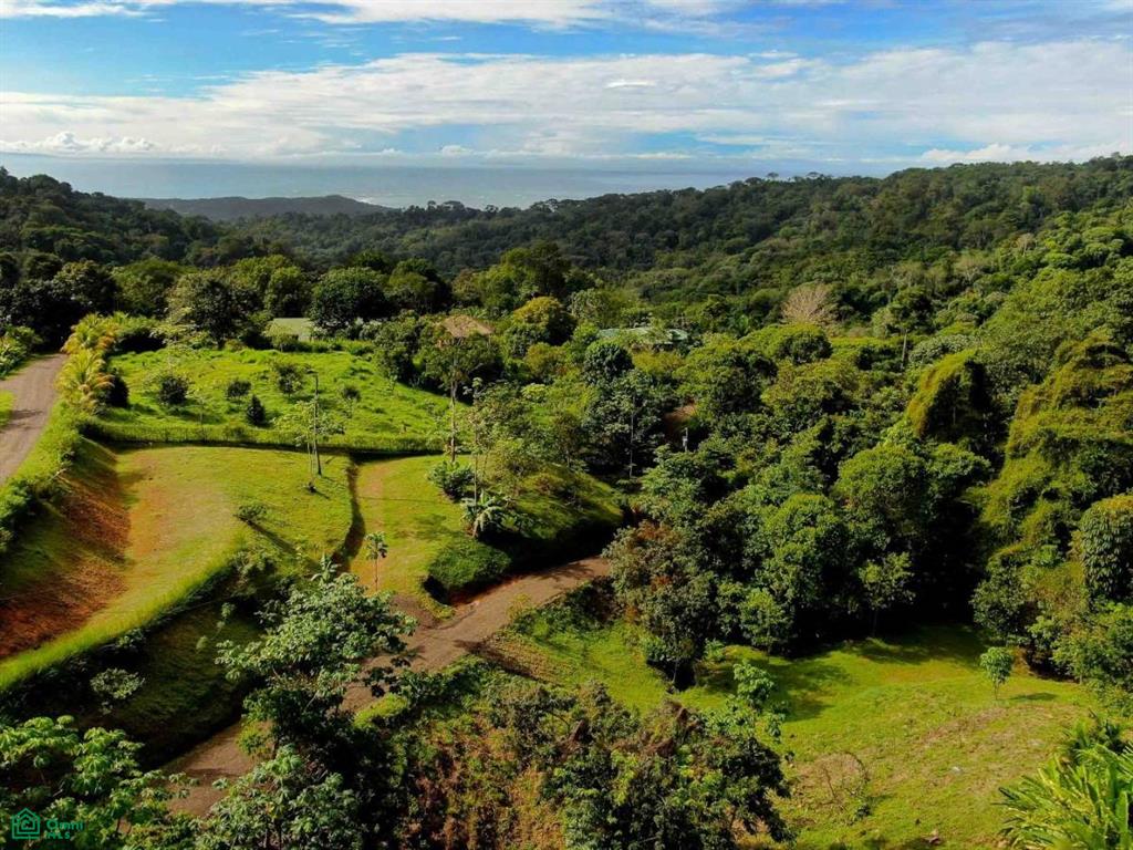 Residential Lot in Coveted Location , Bahía Ballena, Osa, Puntarenas