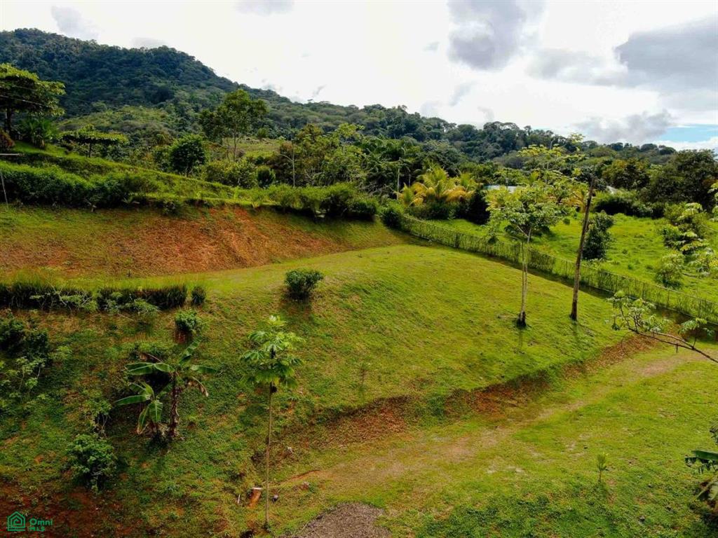 Residential Lot in Coveted Location , Bahía Ballena, Osa, Puntarenas