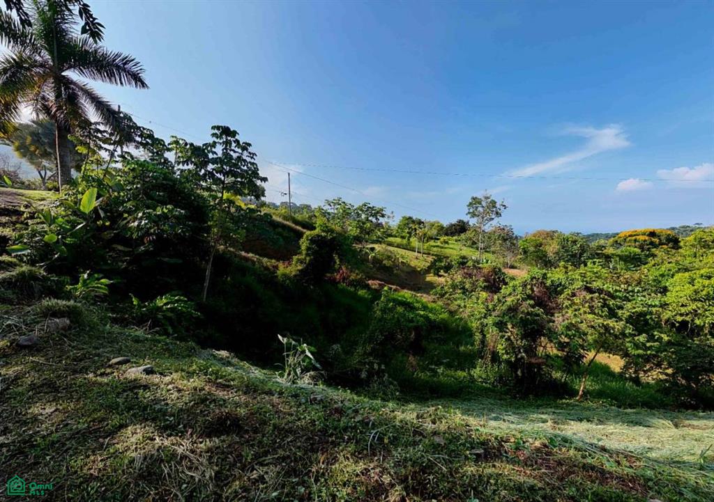 Residential Lot in Coveted Location , Bahía Ballena, Osa, Puntarenas