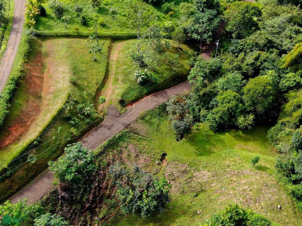 Residential Lot in Coveted Location , Bahía Ballena, Osa, Puntarenas