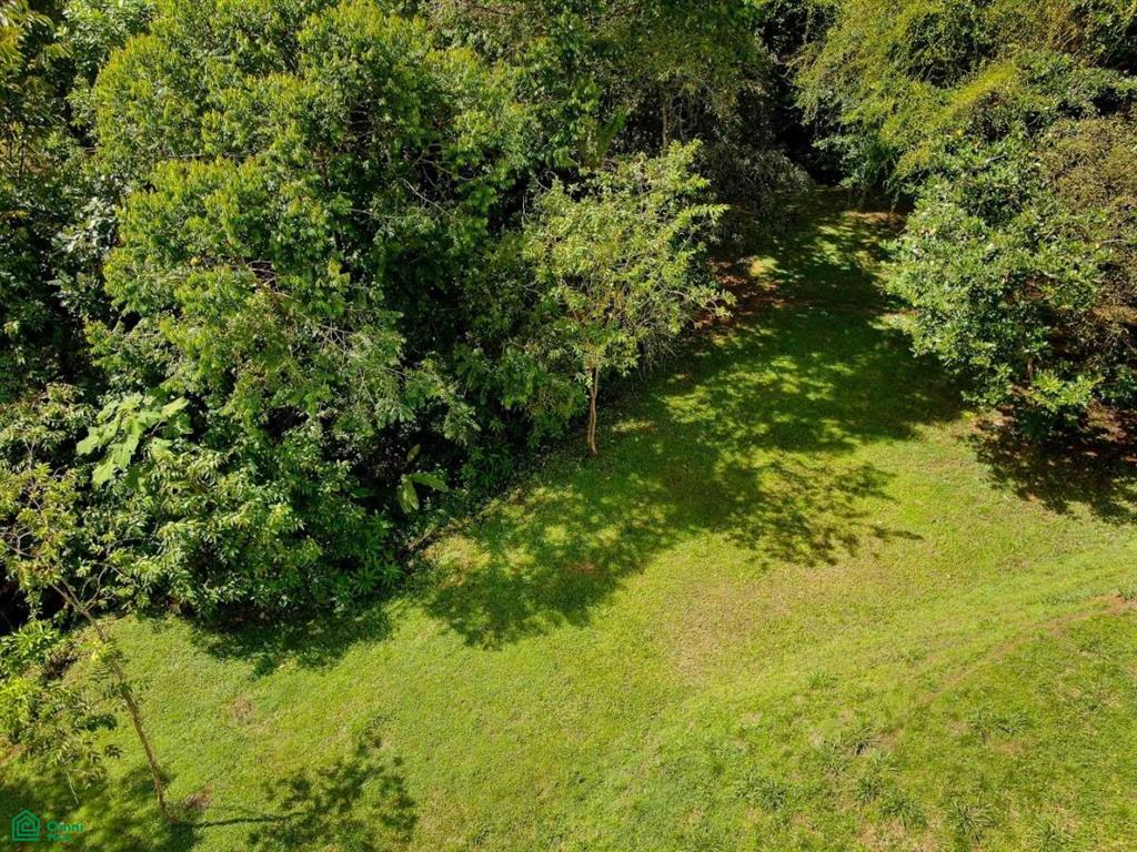Residential Lot in Coveted Location , Bahía Ballena, Osa, Puntarenas
