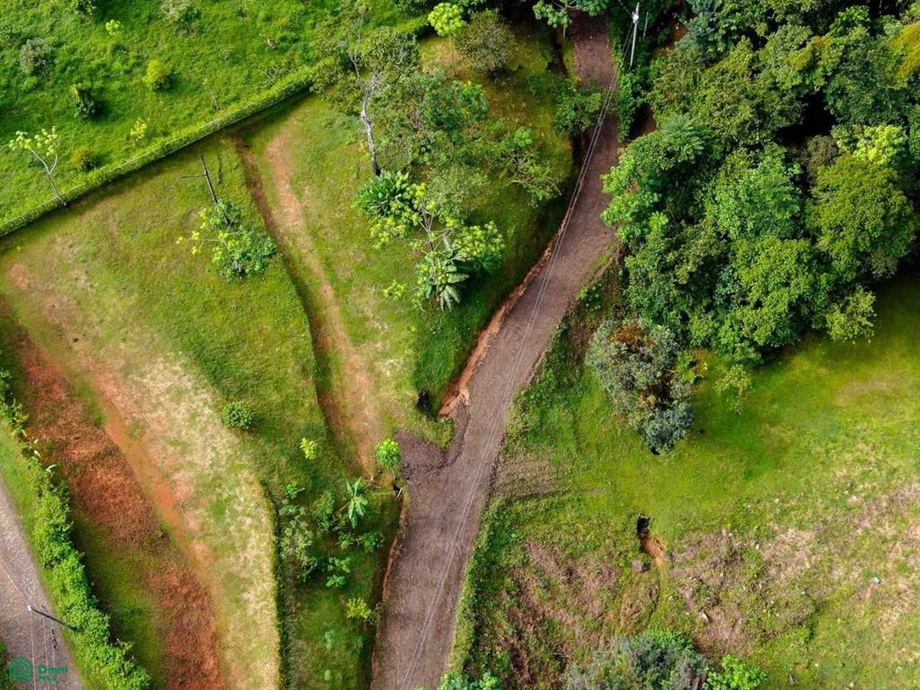 Residential Lot in Coveted Location , Bahía Ballena, Osa, Puntarenas