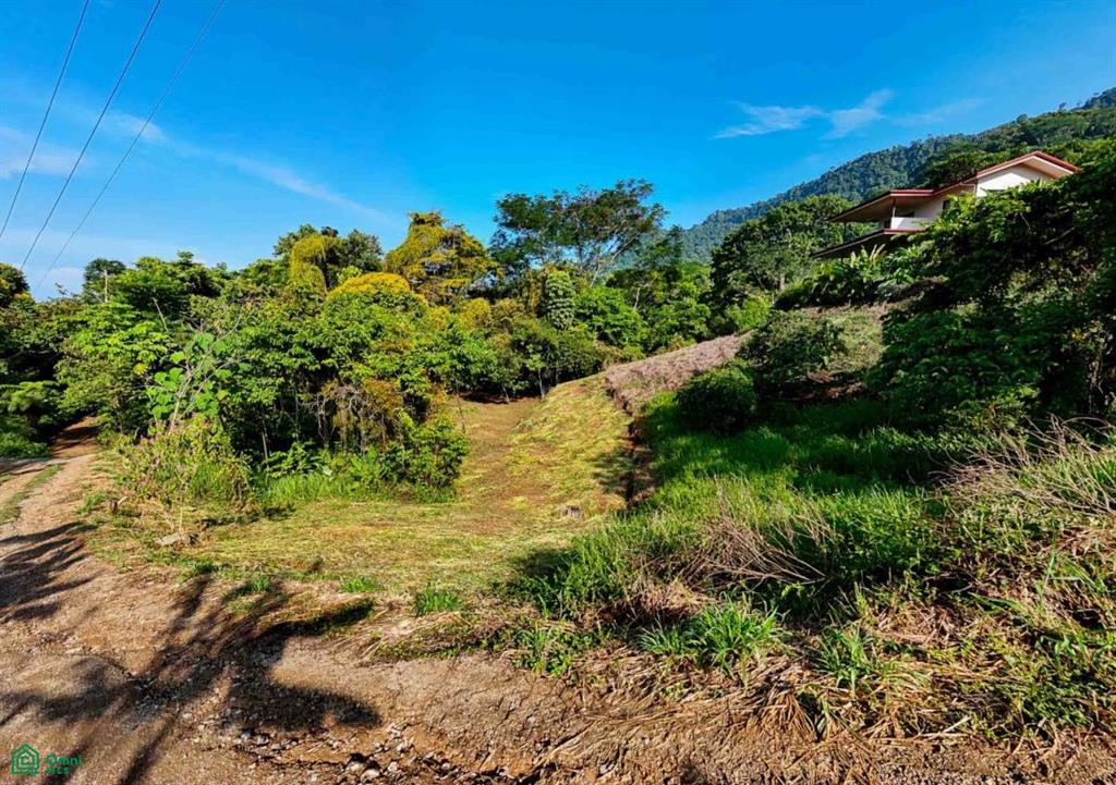 Residential Lot in Coveted Location , Bahía Ballena, Osa, Puntarenas