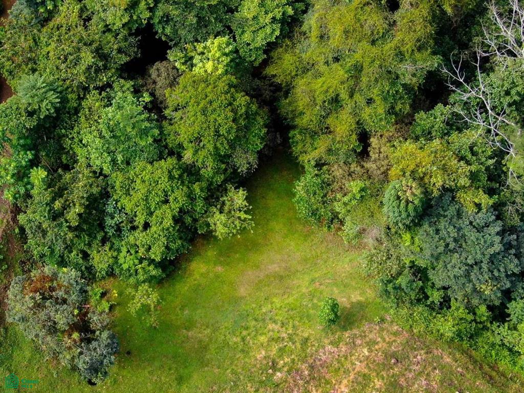 Residential Lot in Coveted Location , Bahía Ballena, Osa, Puntarenas