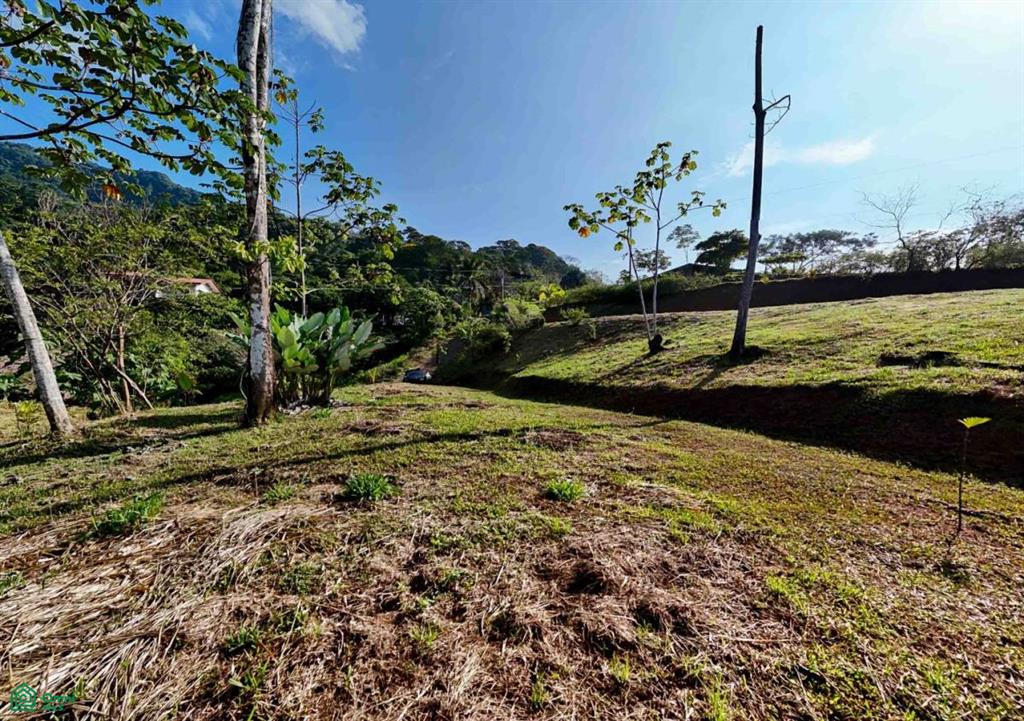 Residential Lot in Coveted Location , Bahía Ballena, Osa, Puntarenas
