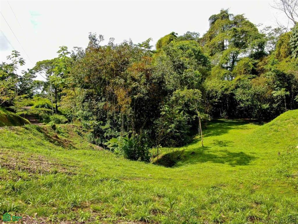 Residential Lot in Coveted Location , Bahía Ballena, Osa, Puntarenas