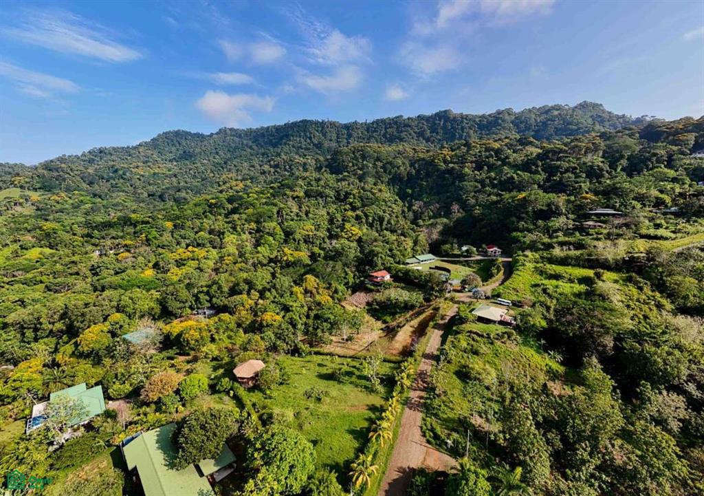 Residential Lot in Coveted Location , Bahía Ballena, Osa, Puntarenas
