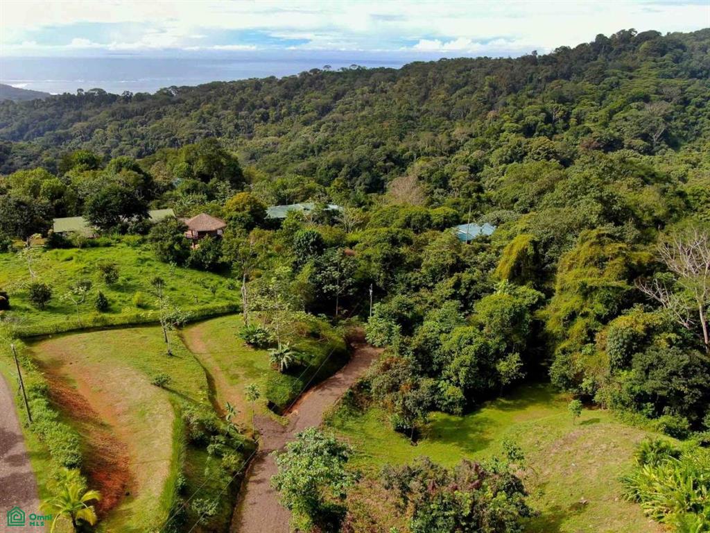 Residential Lot in Coveted Location , Bahía Ballena, Osa, Puntarenas