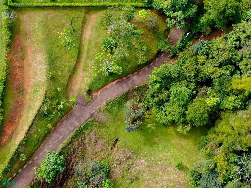 Residential Lot in Coveted Location , Bahía Ballena, Osa, Puntarenas