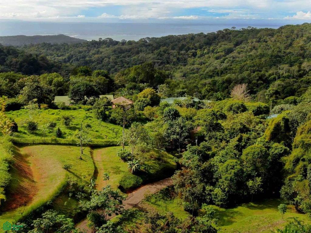 Residential Lot in Coveted Location , Bahía Ballena, Osa, Puntarenas