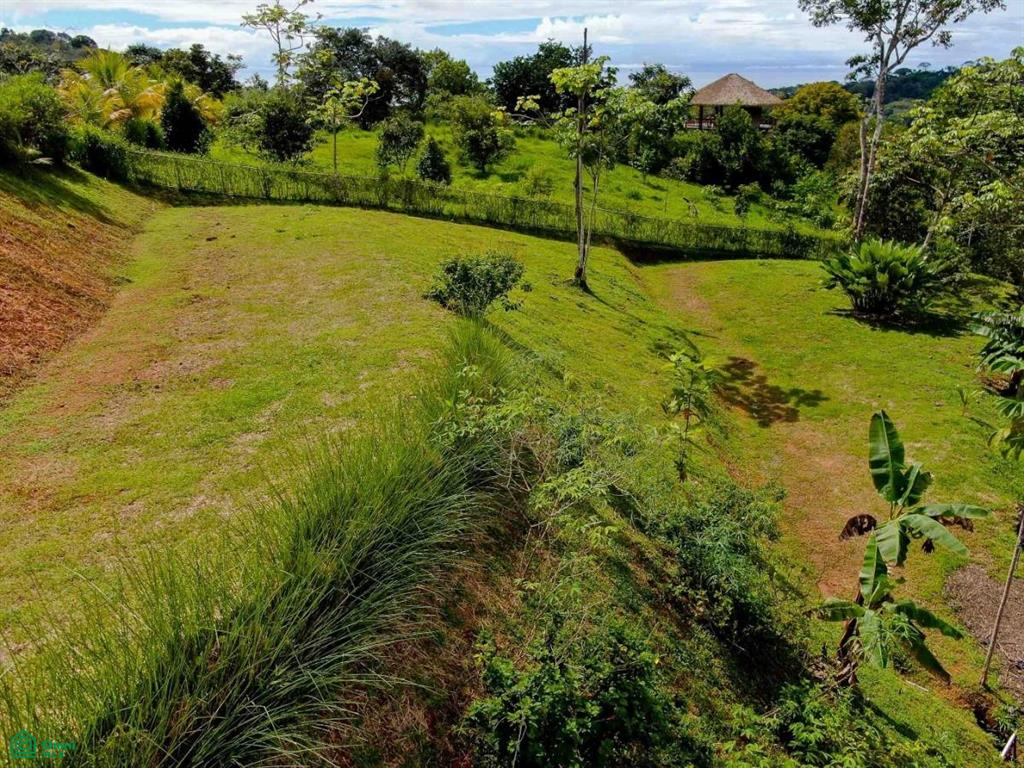 Residential Lot in Coveted Location , Bahía Ballena, Osa, Puntarenas