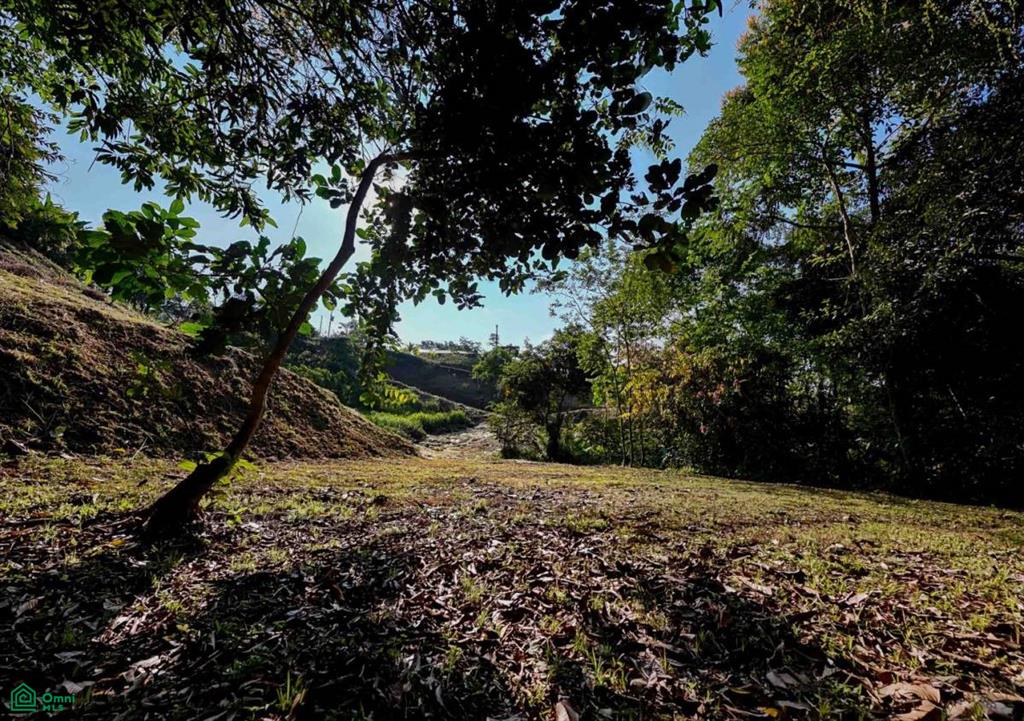Residential Lot in Coveted Location , Bahía Ballena, Osa, Puntarenas