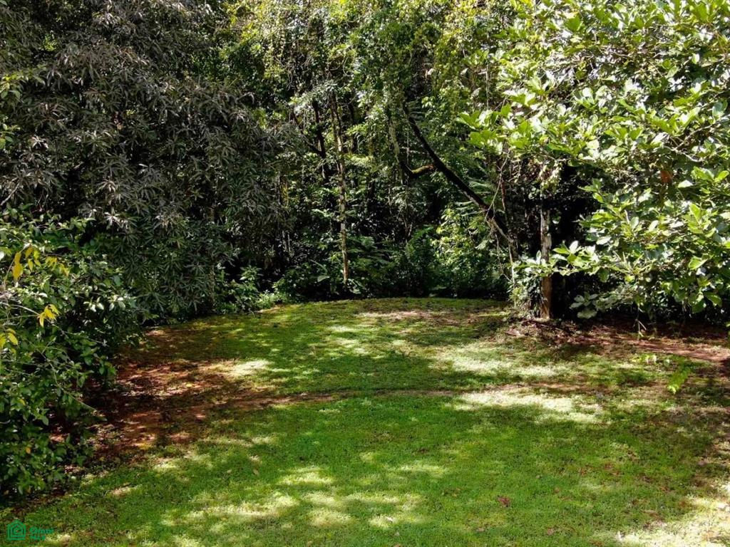 Residential Lot in Coveted Location , Bahía Ballena, Osa, Puntarenas