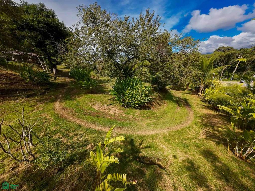 Luxury Development Land , Bahía Ballena, Osa, Puntarenas