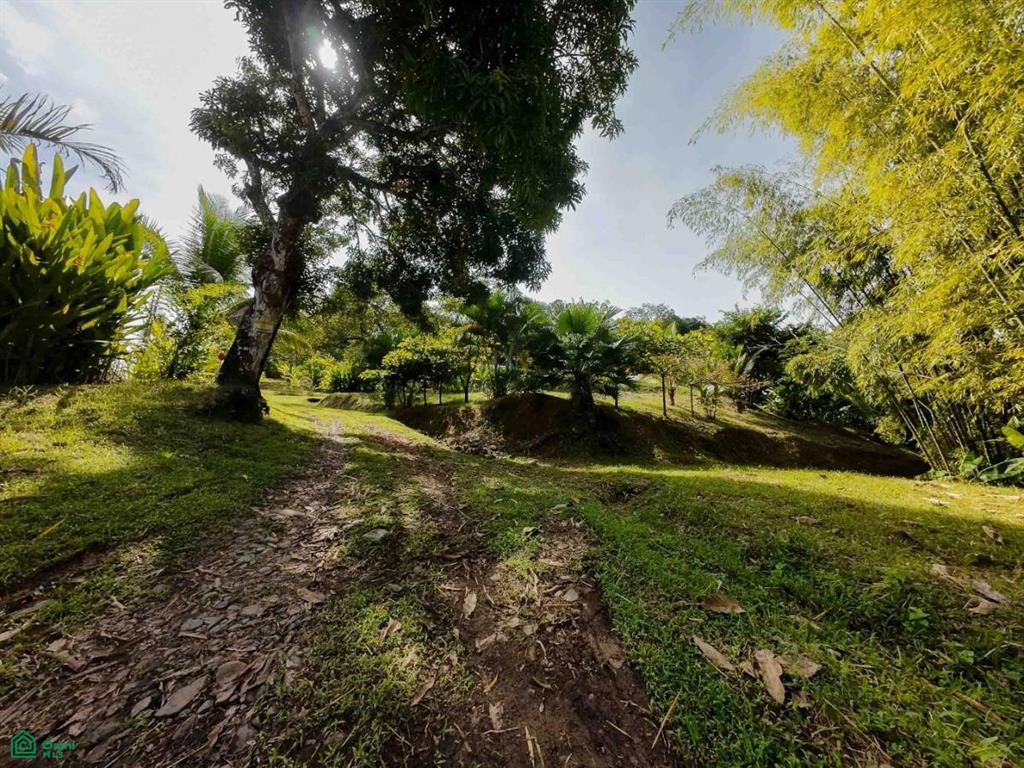 Luxury Development Land , Bahía Ballena, Osa, Puntarenas