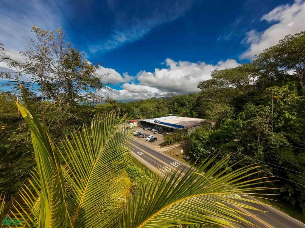 Luxury Development Land , Bahía Ballena, Osa, Puntarenas