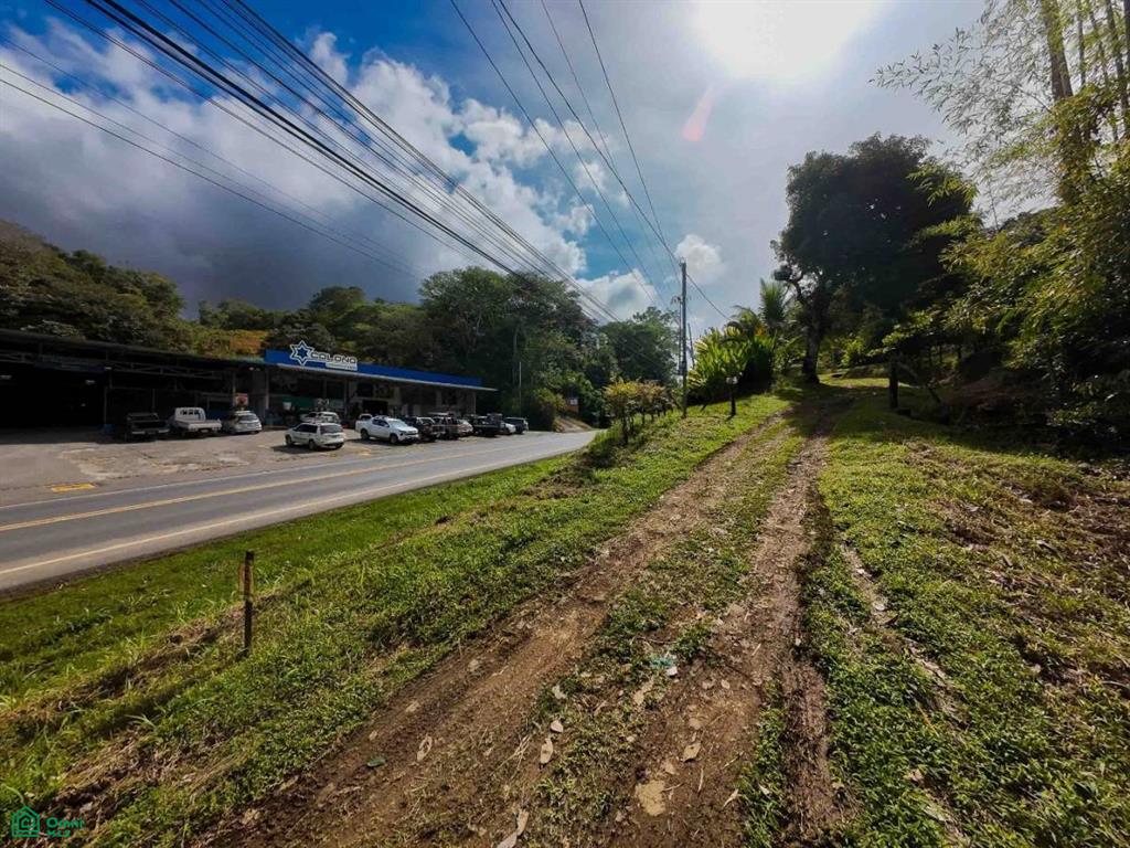 Luxury Development Land , Bahía Ballena, Osa, Puntarenas